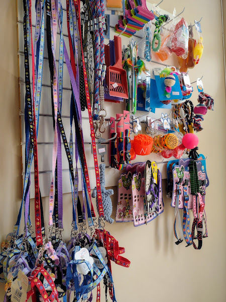 Foto 2 Pet Shop La Familia