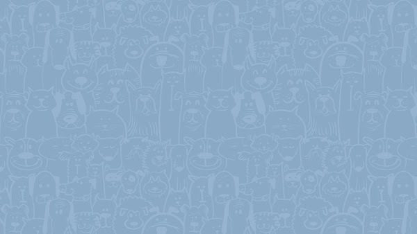 Foto 0 CÃES & GATOS Clínica Veterinária Sorocaba