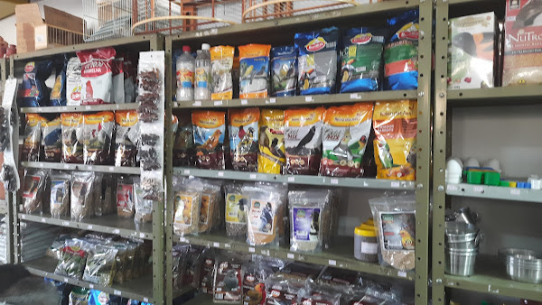 Foto 0 Avicultura do Tóta