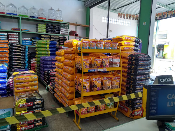 Foto 2 Avilcultura Mundo Animal Sorocabavila. elems