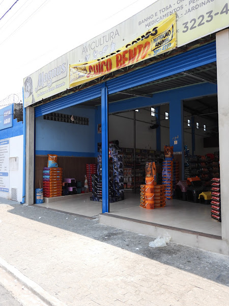 Foto 0 Avicultura Mundo Animal