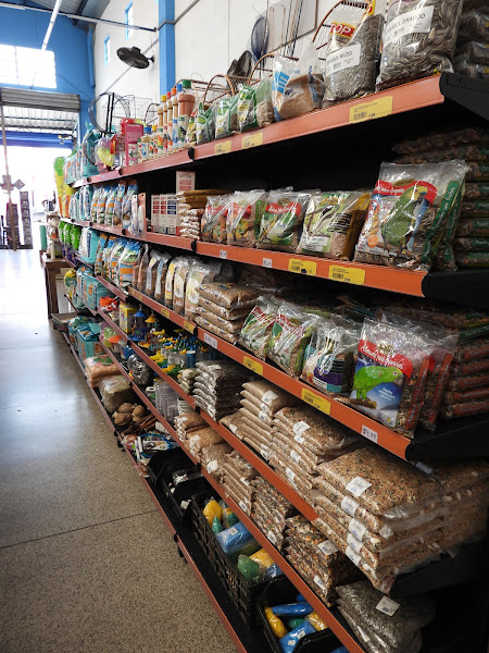 Foto 2 Avicultura Mundo Animal