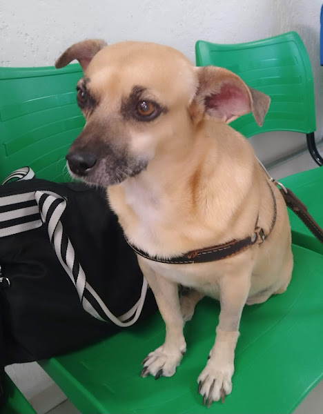 Foto 5 FAS - Fundação Alexandra Schlumberger - Zona Norte (Unidade 2)