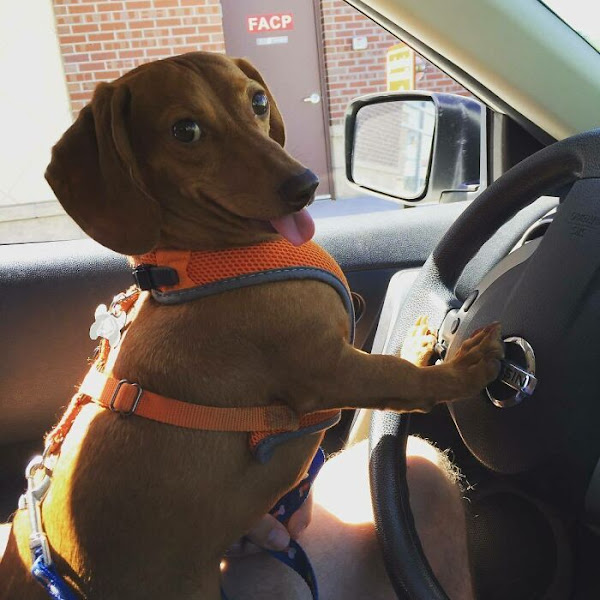 Foto 0 Sorocabano Materiais para Construção