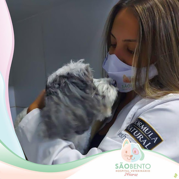 Foto 4 Hospital Veterinário São Bento - ABERTO 24 HORAS