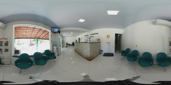 Foto 5 Hospital Veterinário São Bento - ABERTO 24 HORAS Foto 5 Hospital Veterinário São Bento - ABERTO 24 HORAS