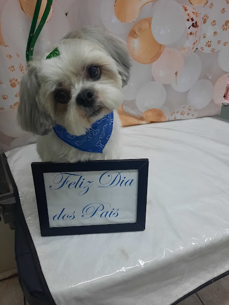 Foto 1 Clinicão Medicina, Saúde e Estética Animal