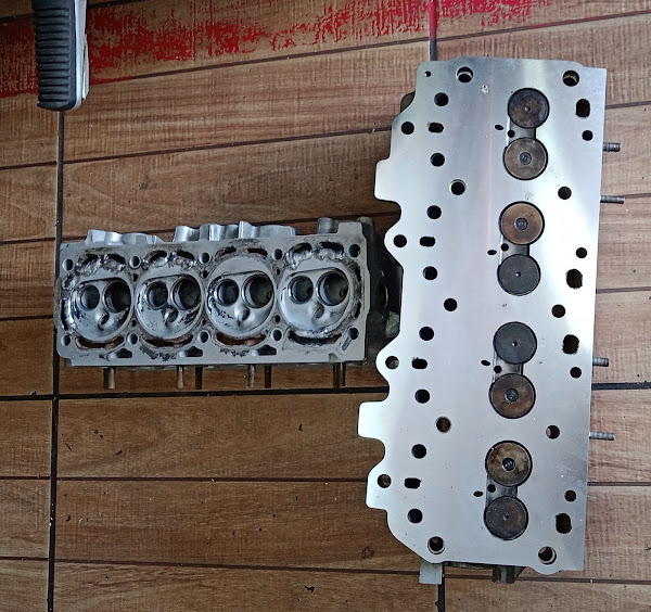 Foto 4 Tatu Cabeçotes