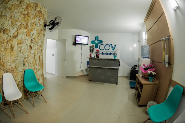 Foto 3 CEV - Centro De Especialidades Veterinárias