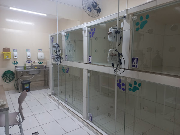 Foto 0 Instituto Laika Clinica Veterinária