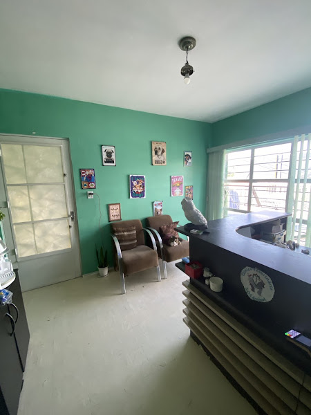 Foto 2 Clínica Veterinária S.O.S. Animal Foto 2 Clínica Veterinária S.O.S. Animal