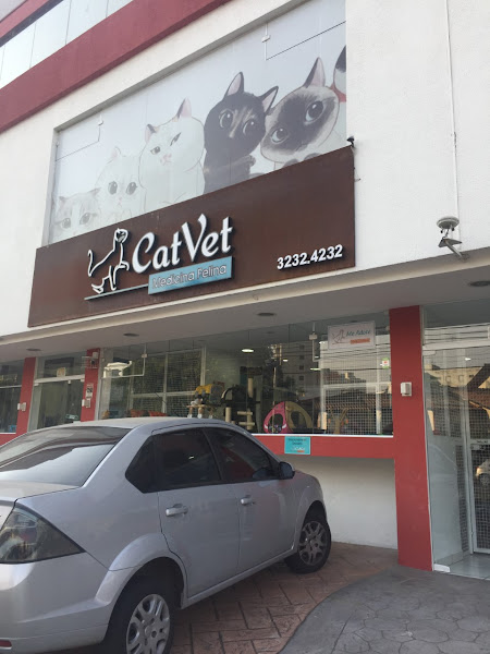 Foto 0 CatVet Medicina Felina