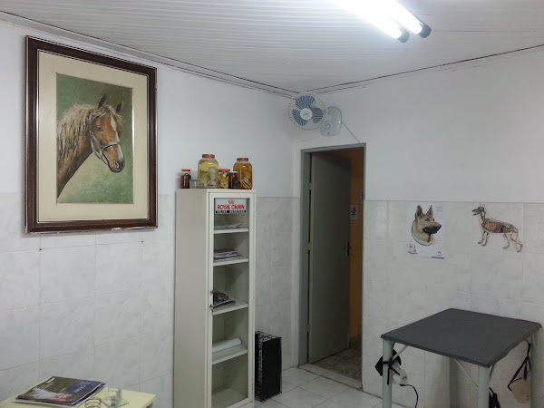 Foto 0 Dr. Airton Vivan - Veterinário