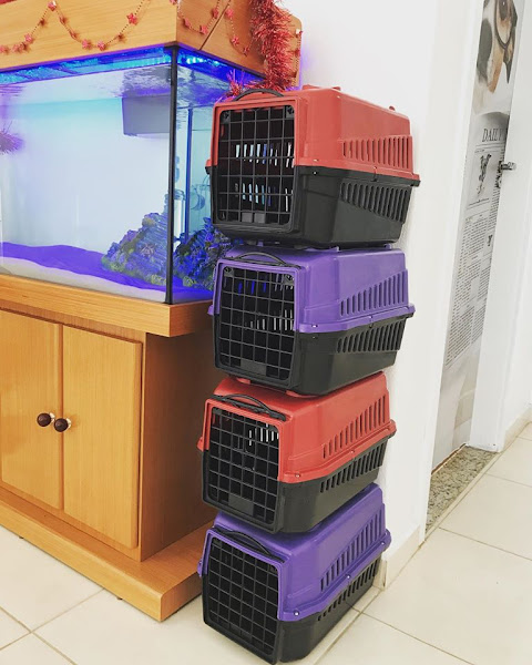 Foto 0 BSVet Medicina Animal