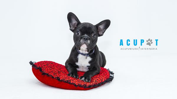 Foto 0 ACUMED- Vet - Centro de Reabilitação Veterinário