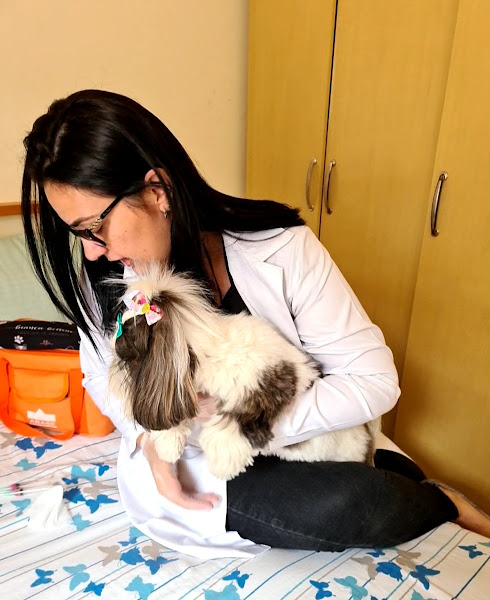 Foto 1 Veterinária em domicílio Sorocaba - Dra. Bianca Belline