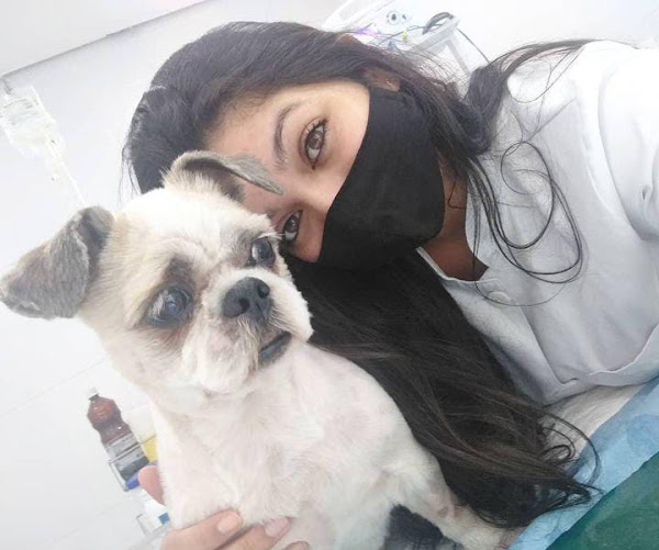 Foto 0 Naturovet - Atendimento Veterinário Domiciliar