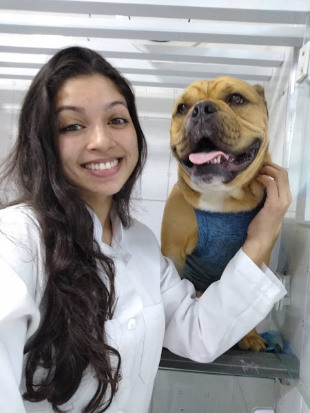 Foto 1 Naturovet - Atendimento Veterinário Domiciliar