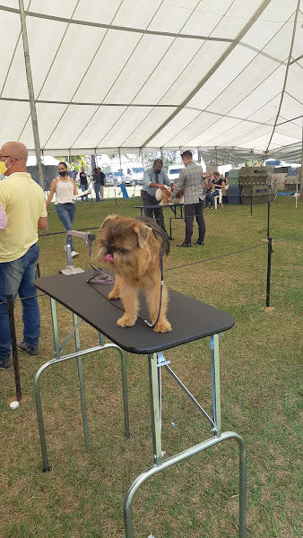 Foto 2 Veterinário Agromilvet Foto 2 Veterinário Agromilvet