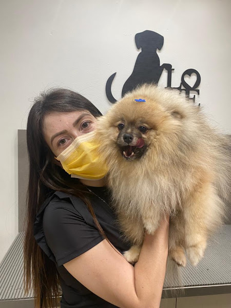 Foto 0 BastVet Centro Veterinário