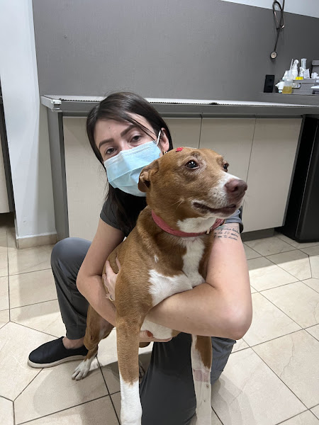 Foto 2 BastVet Centro Veterinário