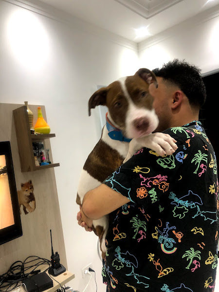 Foto 0 Casa De Rações Japa Pet Foto 0 Casa De Rações Japa Pet