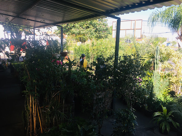 Foto 5 Agro Ouro Verde