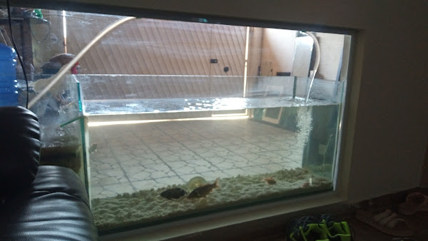 Avelar vidros Envidraçada sacada vidraçaria Avelar vidros Envidraçada sacada vidraçaria