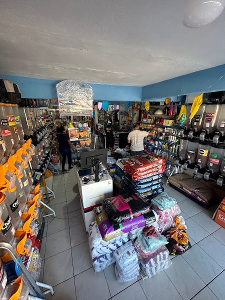 Foto 1 Alternativa Pet