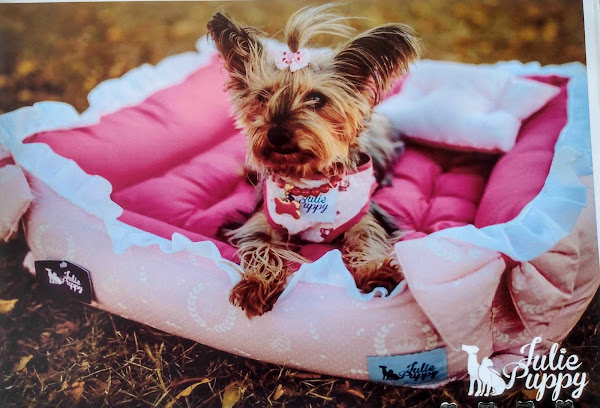 Foto 0 Negro Gato Rações