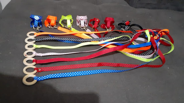 Foto 2 Negro Gato Rações