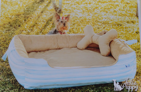 Foto 3 Negro Gato Rações