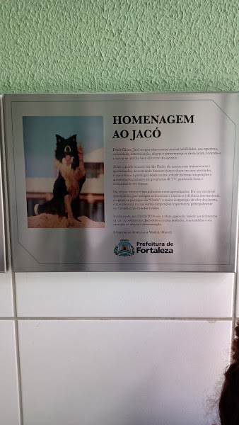 Foto 1 Clínica veterinária