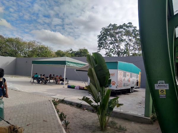 Foto 0 Clínica Veterinária de Fortaleza - Jacó