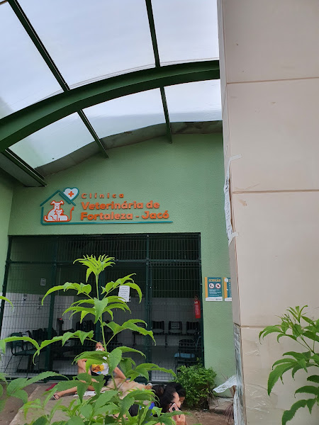 Foto 2 Clínica Veterinária de Fortaleza - Jacó