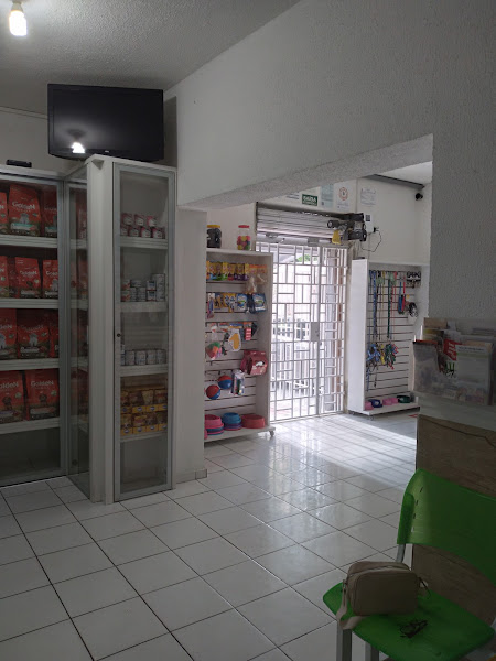 Foto 2 Clínica Veterinária Monsenhor Bruno