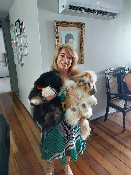 Foto 1 SOS Veterinário