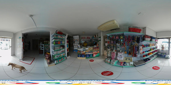 Foto 1 Veterinária Canis Felis Henrique Jorge