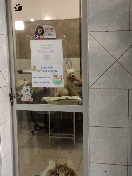 Foto 3 Veterinária Canis Felis Henrique Jorge