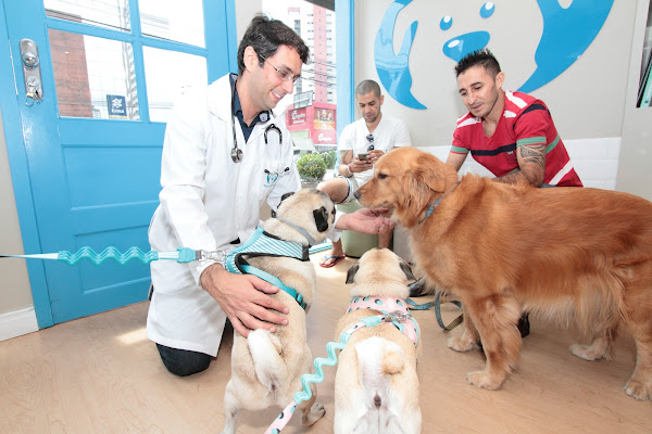 Foto 1 Dr. Rafael Groberio - Vet Care