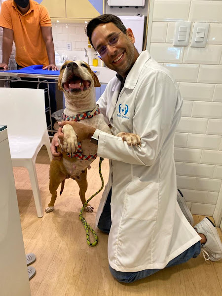 Foto 4 Dr. Rafael Groberio - Vet Care