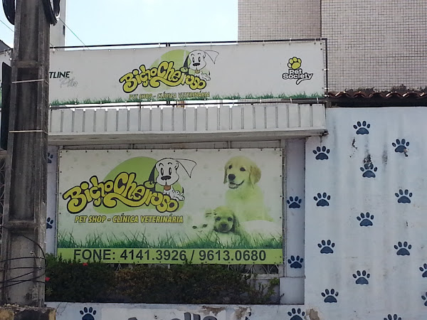 Foto 0 Clínica Veterinária Bicho Cheiroso