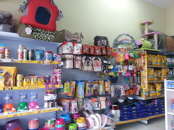 Foto 4 Faro Fino Aldeota