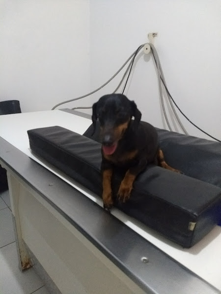 Foto 2 VETER - Centro de Diagnóstico Veterinário