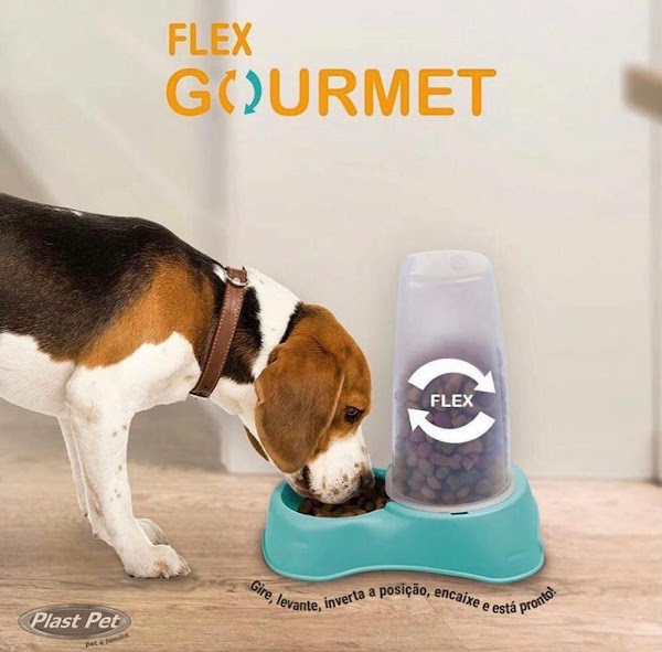 Foto 2 Fortal Distribuidora