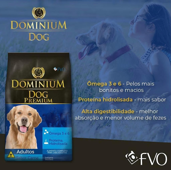 Foto 4 Fortal Distribuidora