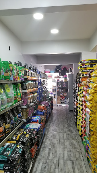 Foto 0 Manaus Au Aus Clínica Veterinária