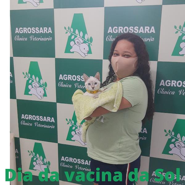 Foto 1 Clínica Veterinária e Pet Shop Agrossara