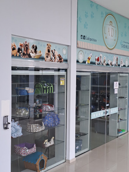 Foto 0 Lady Pet Store