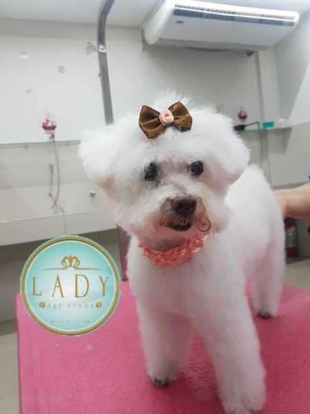 Foto 5 Lady Pet Store